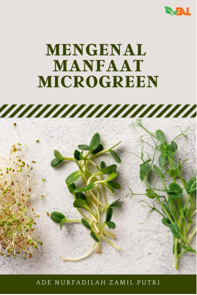 Mengenal Manfaat Microgreen