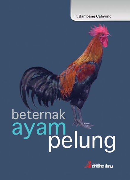 Beternak Ayam Pelung
