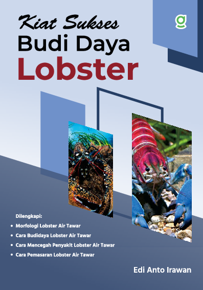 Kiat Sukses Budi Daya Lobster