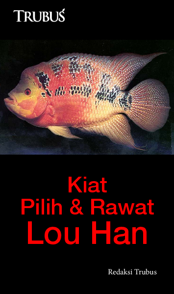 Kiat Pilih dan Rawat Lou Han