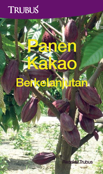 Panen Kakao Berkelanjutan