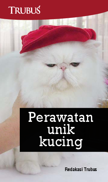 Perawatan Unik Kucing