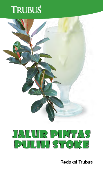 Jalur Pintas Pulih Stoke