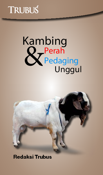 Kambing Perah dan Pedaging Unggul