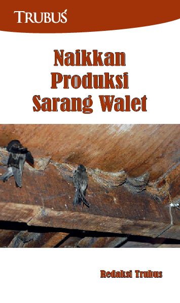 Naikkan Produksi Sarang Walet
