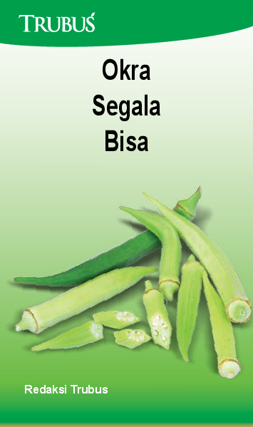 Okra Segala Bisa