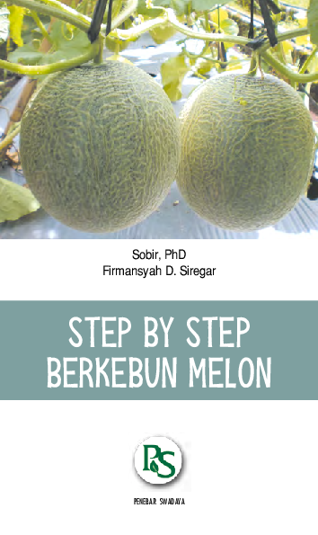 Step by Step Berkebun Melon