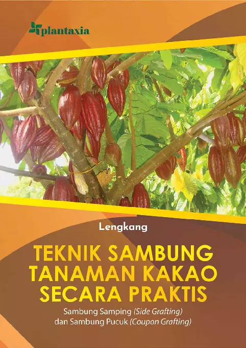 Teknik Sambung Tanaman Kakao secara Praktis; Sambung Samping (Side Grafting) dan Sambung Pucuk (Coupon Grafting)