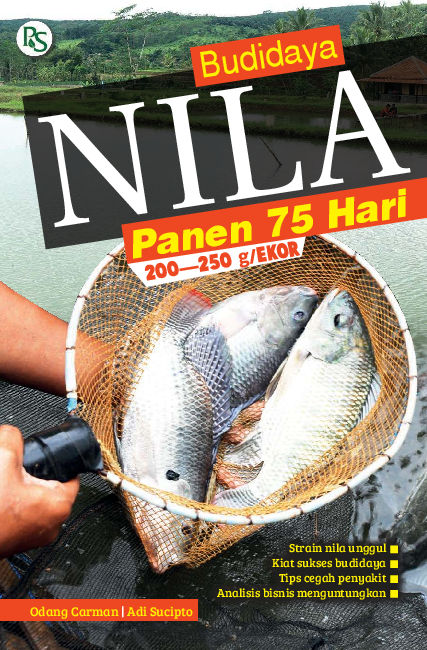 Budidaya Nila Panen 75 Hari