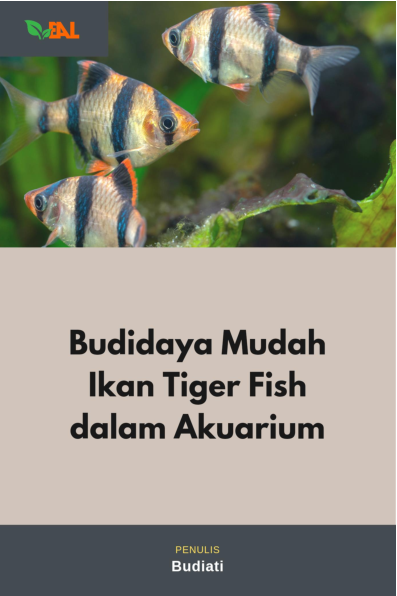 Budidaya Mudah Ikan Tiger Fish dalam Akuarium