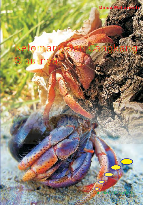 Kelomang dan Cangkang Siputnya