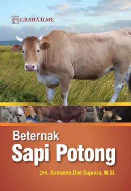 Beternak Sapi Potong