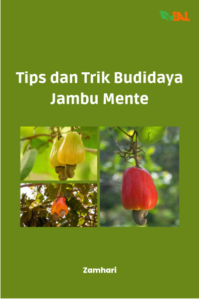 Tips dan Trik Budidaya Jambu Mente