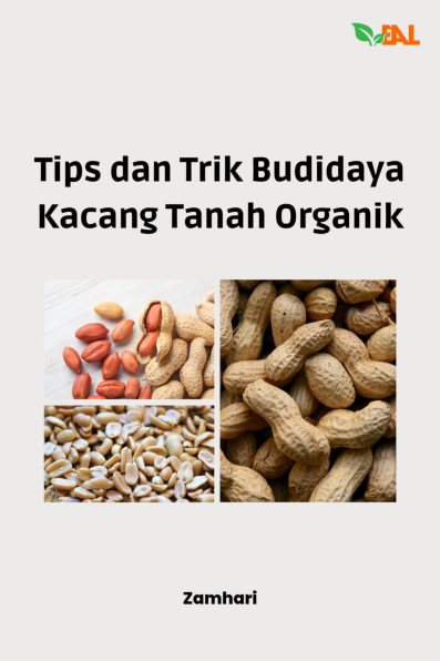 Tips dan Trik Budidaya Kacang Tanah Organik