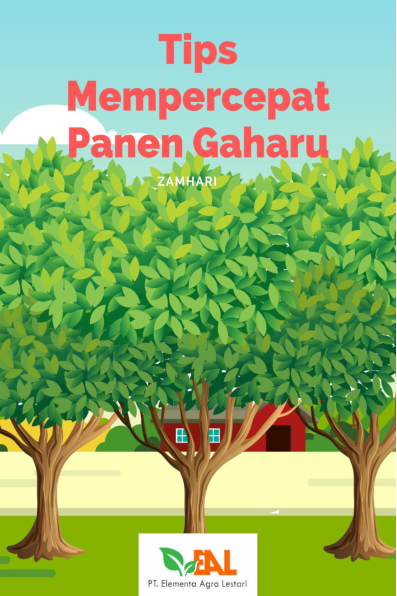 Tips Mempercepat Panen Gaharu