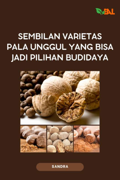 Sembilan Varietas Pala Unggul yang Bisa Jadi Pilihan Budidaya