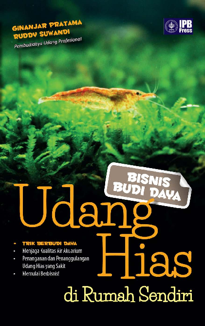 Bisnis budi daya udang hias di rumah sendiri