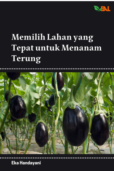 Memilih Lahanyang Tepat untuk Menanam Terung
