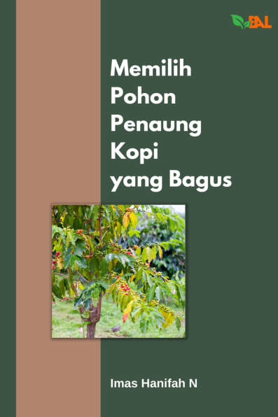 Memilih Pohon Penaung Kopi yang Bagus