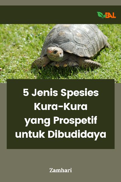 5 Jenis Spesies Kura-Kura yang Prospetif untuk Dibudidaya