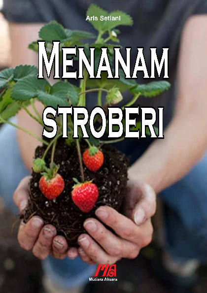 Menanam stroberi