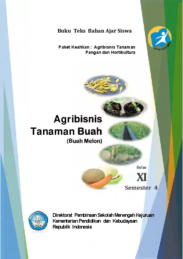 Kelas 11 SMK Agribisnis Tanaman Buah Melon 4 