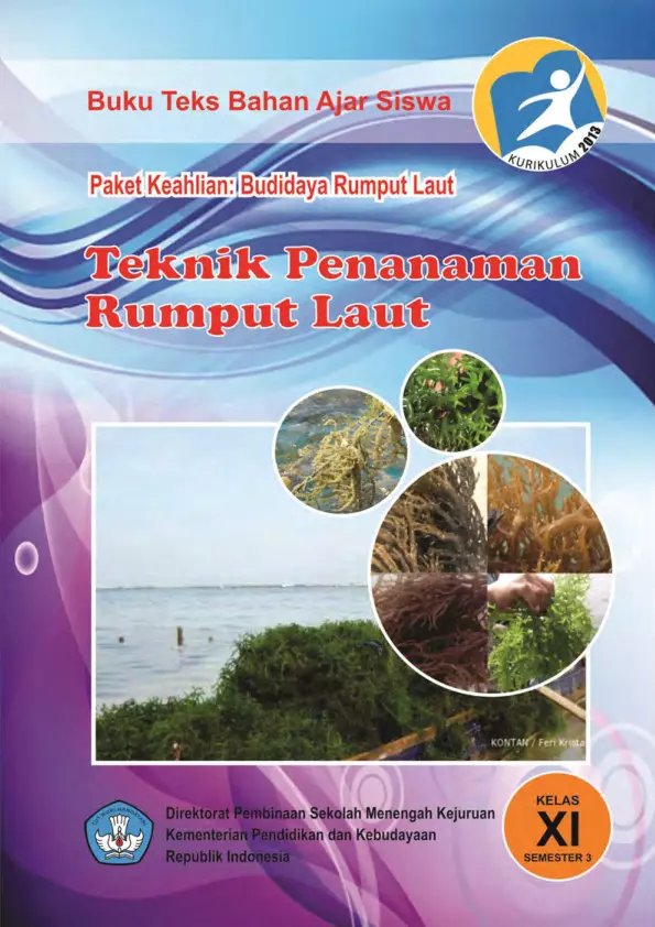 Kelas 11 SMK Teknik Penanaman Rumput Laut 3 