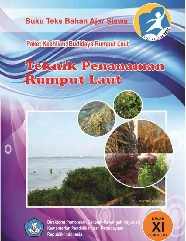 Kelas 11 SMK Teknik Penanaman Rumput Laut 4 