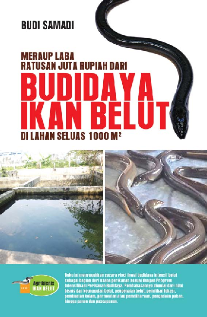 Meraup Laba Ratusan Juta Rupiah Dari Budidaya Ikan Belut Di Lahan Seluas 1000 M2