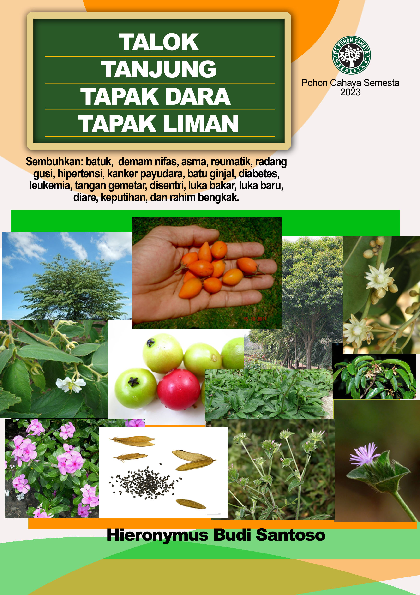 Talok, Tanjung, Tapak dara, Tapakliman