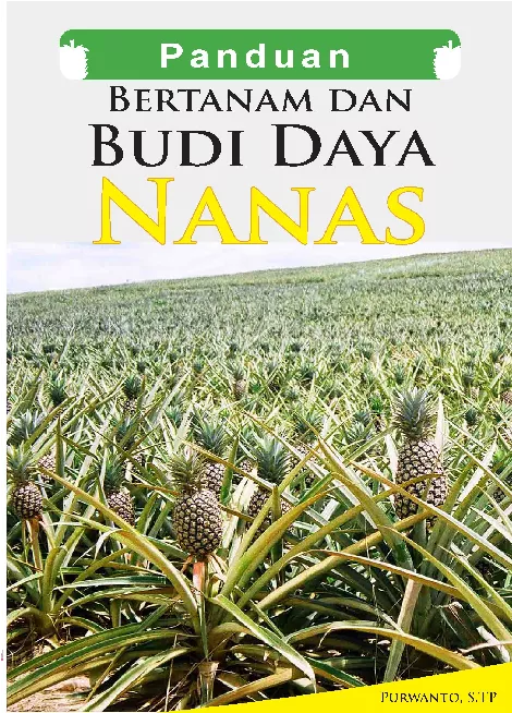 Panduan Bertanam dan Budi Daya Nanas