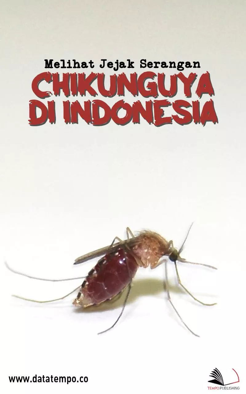 Melihat Jejak Serangan Chikunguya di Indonesia