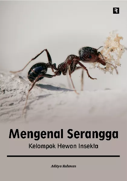 Mengenal Serangga: Kelompok Hewan Insekta