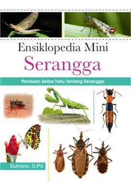 Ensiklopedia Mini Serangga
