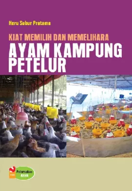 Kiat Memilih Dan Memelihara Ayam Kampung Petelur