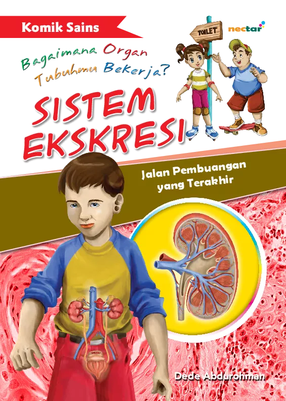 Sistem ekskresi : jalan pembuangan yang terakhir