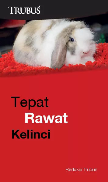 Tepat Rawat Kelinci