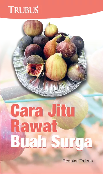 Cara Jitu Rawat Buah Surga