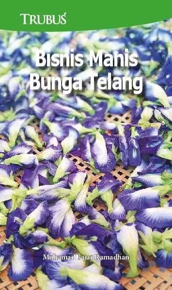 Bisnis Manis Bunga Telang