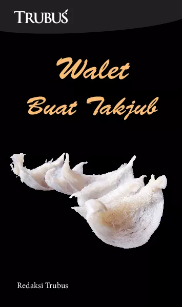 Walet Buat Takjub