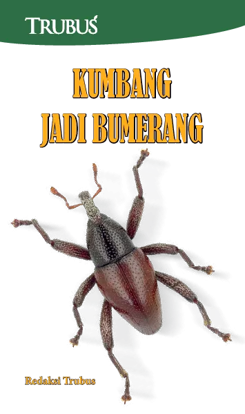 Kumbang Jadi Bumerang