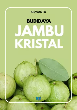 Budidaya Jambu Kristal