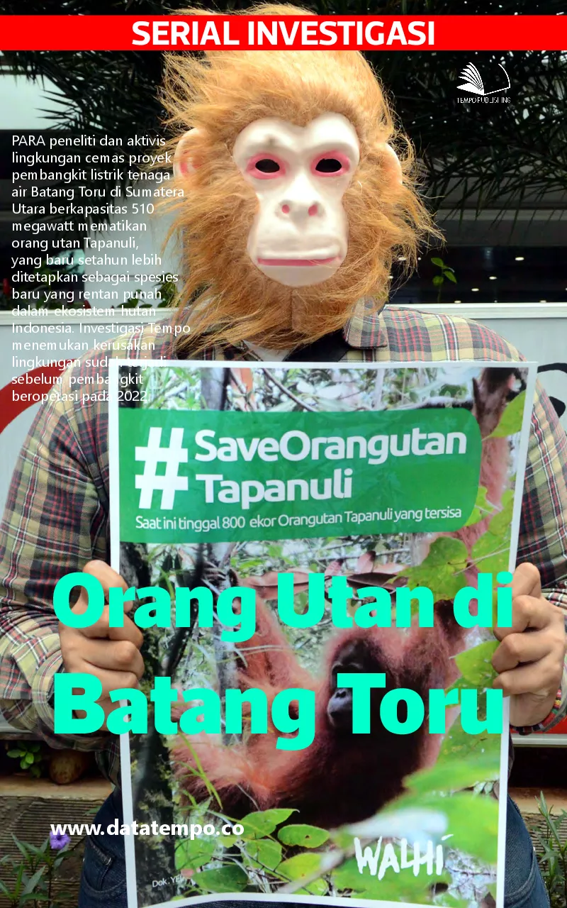 Serial Investigasi - Orang Utan di Batang Toru