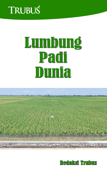 Lumbung Padi Dunia