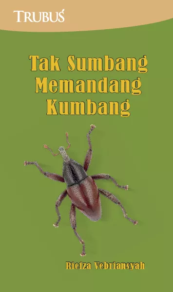 Tak Sumbang Memandang Kumbang