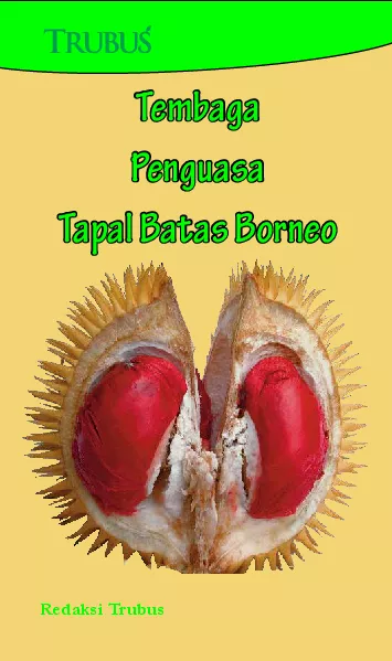 Tembaga Penguasa Tapal Batas Borneo