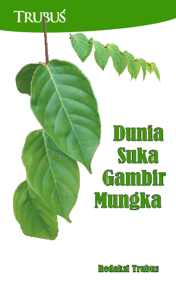 Dunia Suka Gambir Mungka