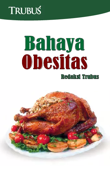Bahaya Obesitas