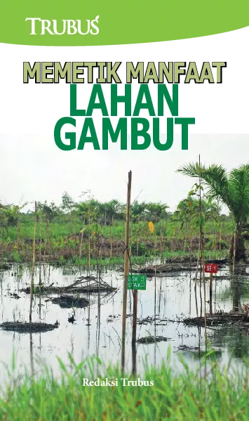 Memetik Manfaat Lahan Gambut