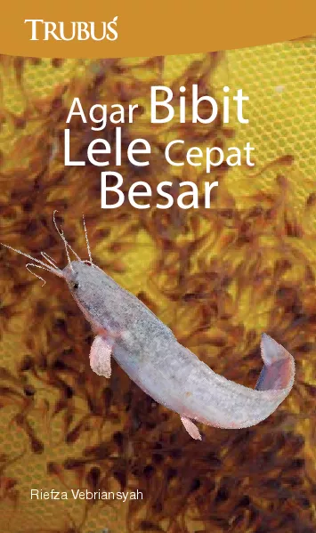 Agar Bibit Lele Cepat Besar